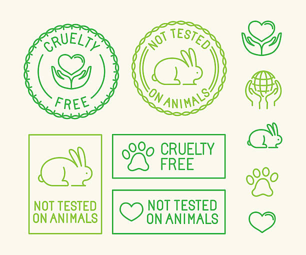 How to Choose Cruelty Free Brands: Ultimate Guide for Ethical Shoppers